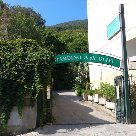Hotel Giardino Degli Ulivi Сан-Феличе-Чирчео Экстерьер фото