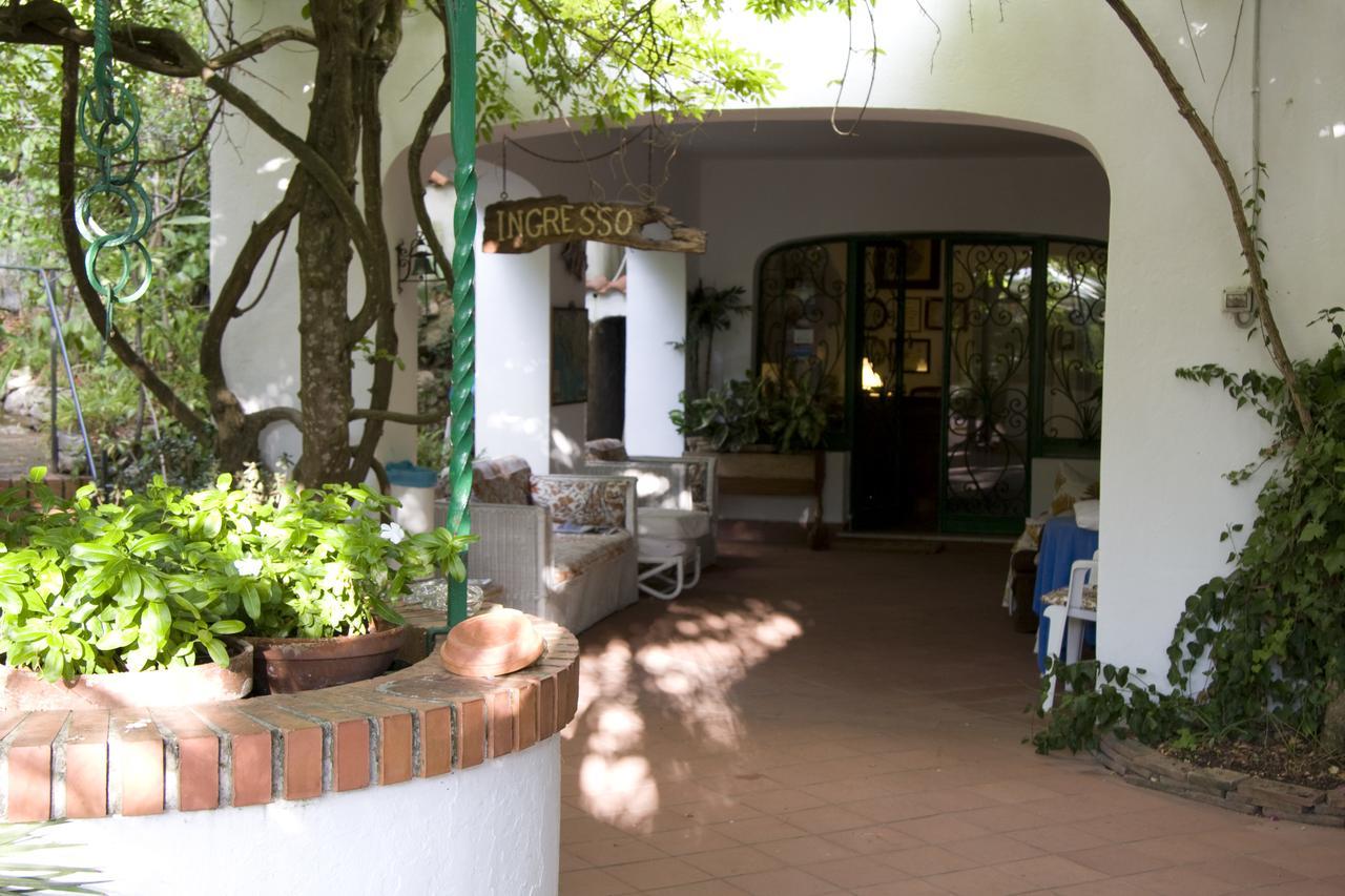 Hotel Giardino Degli Ulivi Сан-Феличе-Чирчео Экстерьер фото