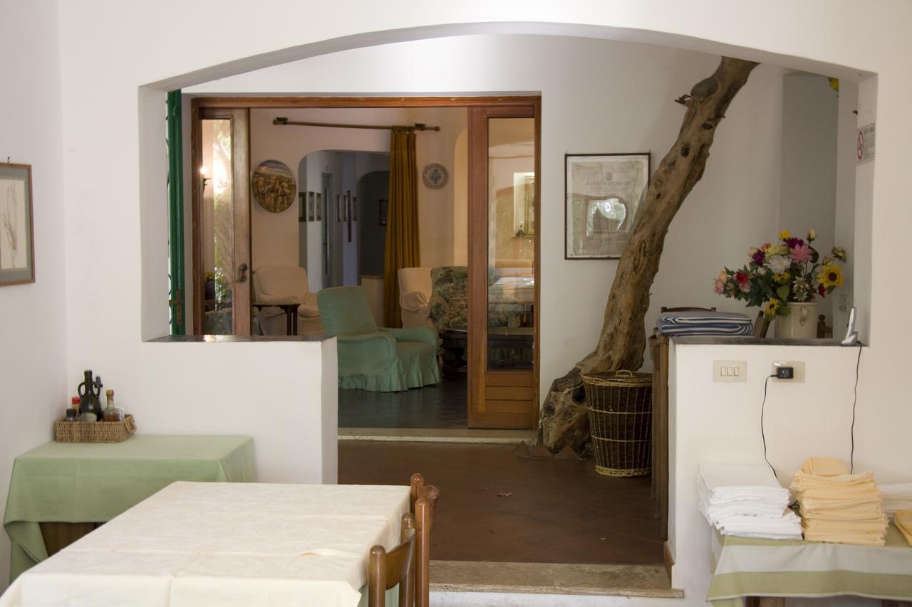 Hotel Giardino Degli Ulivi Сан-Феличе-Чирчео Экстерьер фото